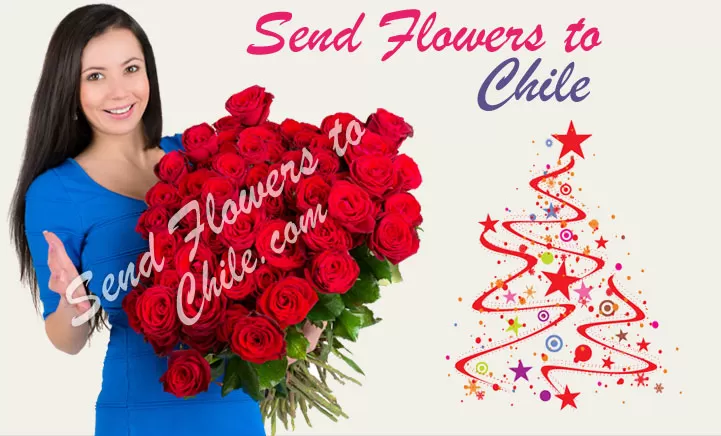 Send Flowers To Chile