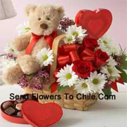 Um belo cesto feito de rosas vermelhas, gerberas brancas e complementos sazonais, uma caixa de chocolates importados e um fofo urso de pelúcia marrom