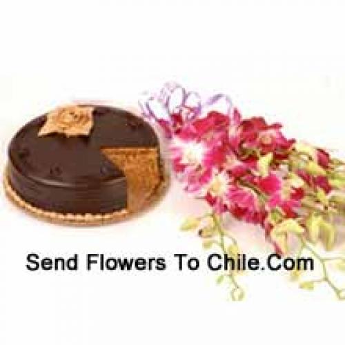 Orchide rosa con deliziosa torta al cioccolato da 1/2 kg