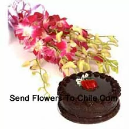 Conjunto de Orquídeas Cor-de-Rosa com Enfeites da Estação, Juntamente com 1 Lb. (1/2 Kg) de Bolo de Chocolate Trufado