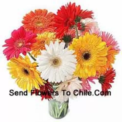 19 Gerberas de Colores Mixtos con Algunos Helechos en un Jarrón de Vidrio