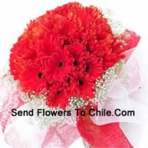 A Beautiful Bunch Of 37 Red Gerberas With Seasonal Fillers