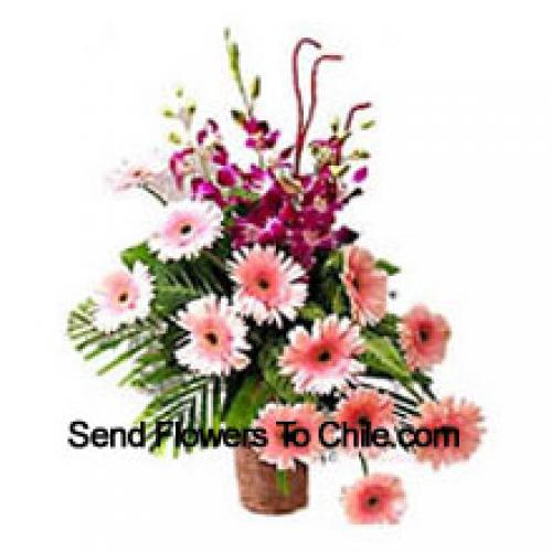 Sensational Gerberas with Orchids