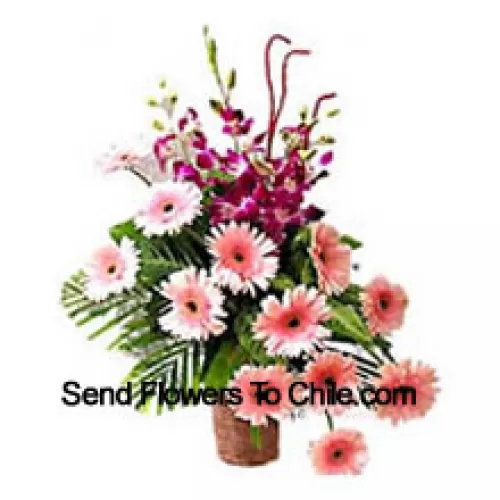 Basket Of Orchids And Gerberas