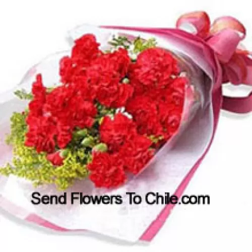 Bunch Of 19 Beautifully Wrapped Carnations