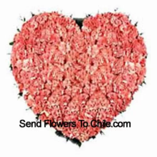 Heart Shaped Arrangement Of 101 Pink Carnations