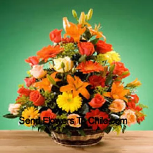 Basket Of Assorted Flowers Including Roses and Gerberas Of Assorted Color. This Basket Also Has Seasonal Fillers