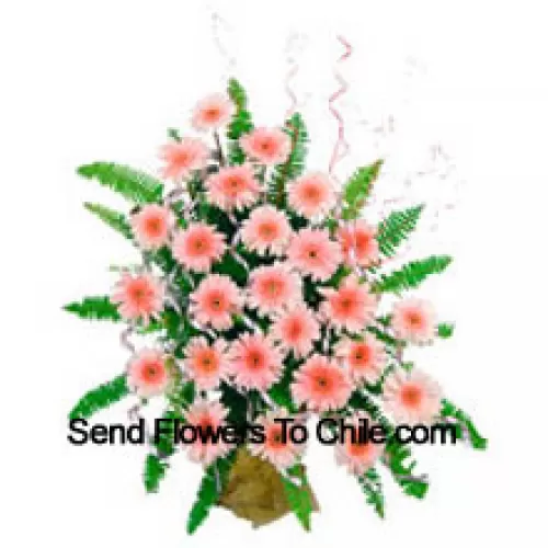 Basket Of 25 Pink Colored Gerberas