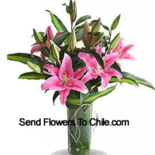 Pink Colored Lilies In A Vase