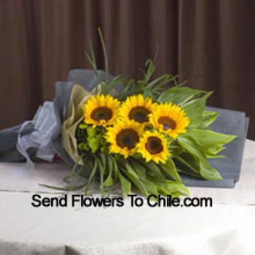 Handpicked Sunflowers Bunch