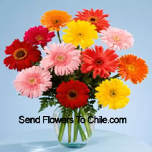 11 Mixed Colored Gerberas In A Vase