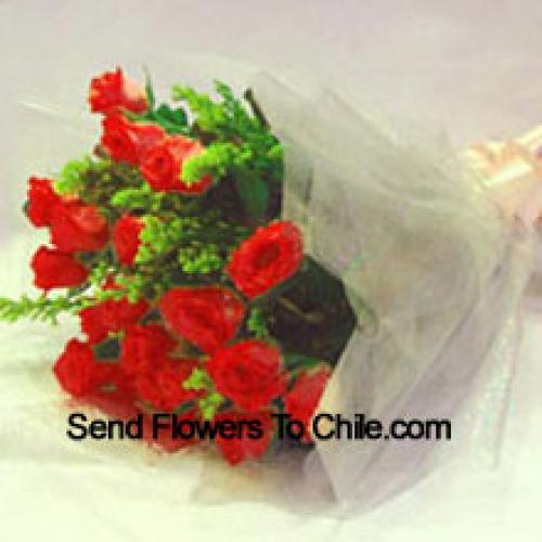 11 Exotic Red Roses