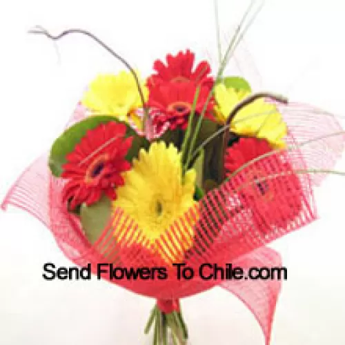 Bunch Of 11 Mixed Colored Gerberas