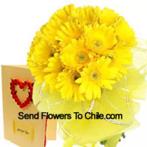 Grupo de 19 Gerberas Amarillas con una Tarjeta de Felicitación Gratis