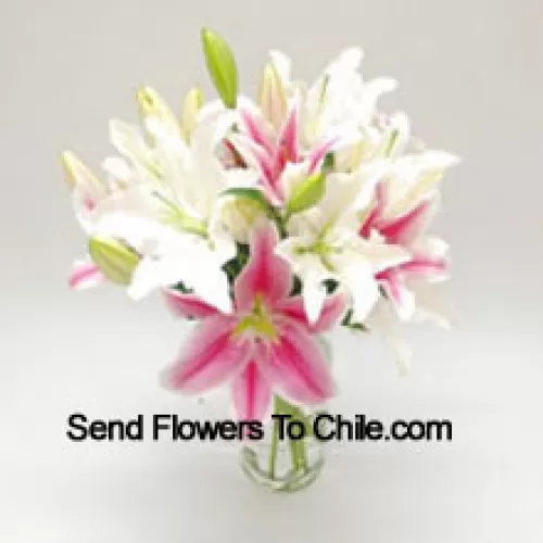 Mixed Colored Lilies In A Vase