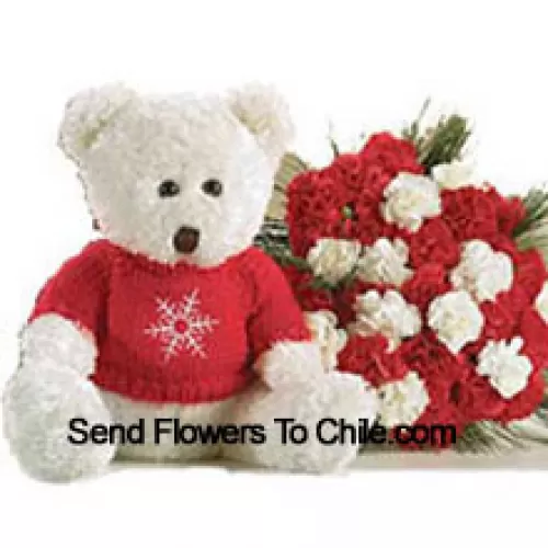 Bunch Of 25 Red And White Carnations With A Medium Sized Cute Teddy Bear