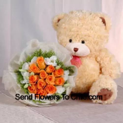 Bunch Of 11 Orange Roses And A Medium Sized Cute Teddy Bear