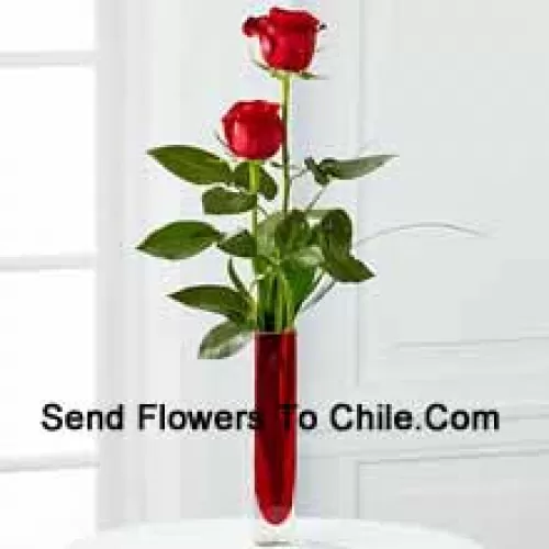 Two Red Roses In A Red Test Tube Vase (We Reserve The Right To Substitute The Vase In Case Of Non-Availability. Limited Stock)