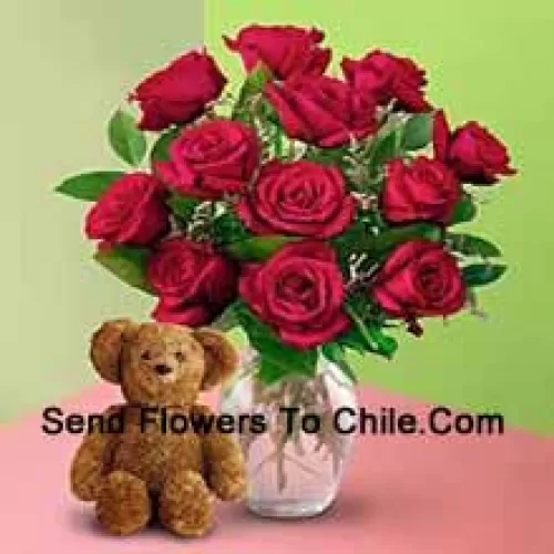 11 Rosas Vermelhas com Algumas Samambaias em um Vaso e um Urso de Pelúcia Marrom Fofo de 8 Polegadas