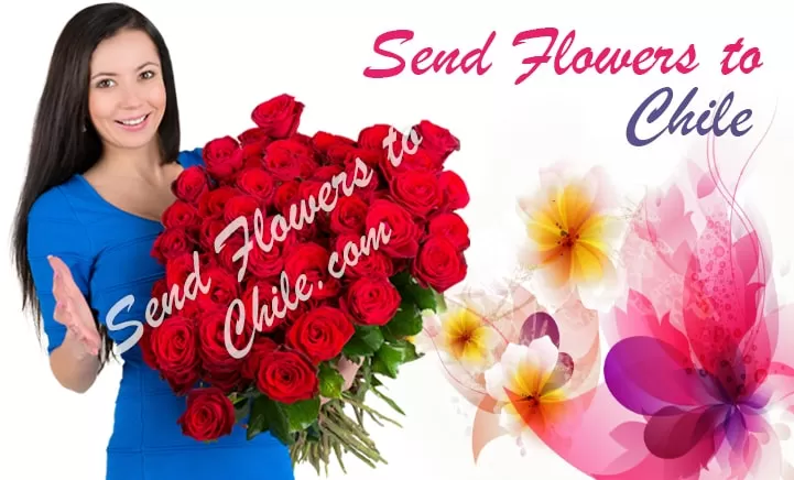 Send Flowers To Chile